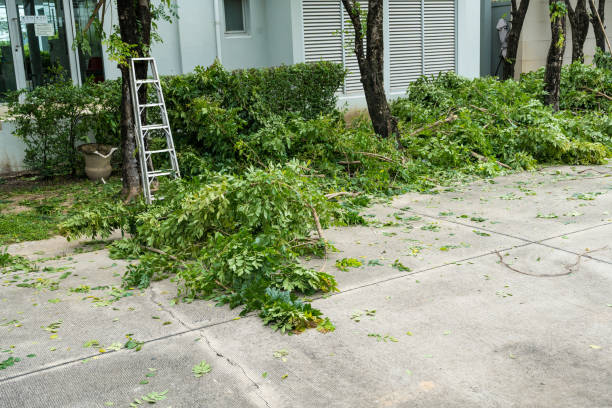 Best Lawn Fertilization  in Seward, AK